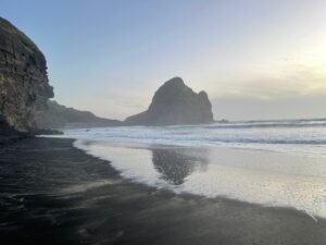 Piha Beach Beautiful Piha Beach at Sunset in Auckland, NZ