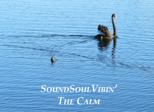 The Calm Movement digital album. SoundSoulVibin' Music by Jacquie Bird Album of ambient sounds.