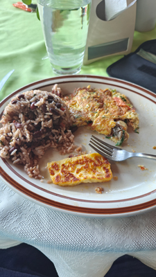 Costa Rica Hello Again: Dinoland. Jacquie's Mindfulness Musings Blog. Breakfast at Hotel Torre Fuerte