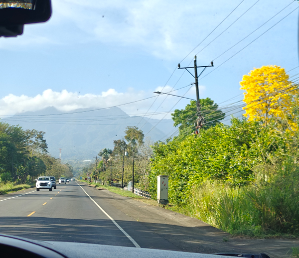 My beloved Cortessa Tree in full bloom on the right. Costa Rica, Hello Again: San Jose and the Museo del Oro (the Gold Museum) Jacquie's Mindfulness Musings Blog