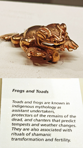 Frog figure at the Gold Museum. Costa Rica, Hello Again: San Jose and the Museo del Oro (the Gold Museum) Jacquie's Mindfulness Musings Blog