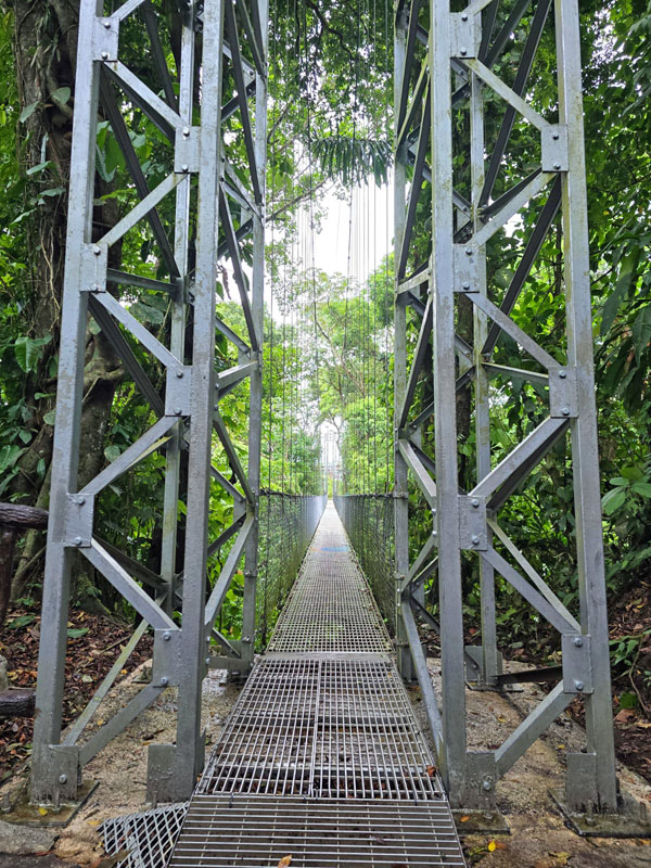 Costa Rica Hello Again: Mistico Hanging Bridges. Jacquie's Mindfulness Musings Blog
