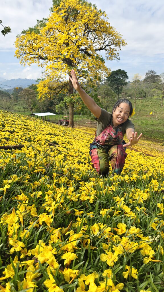 Costa Rica Hello Again: Rancho Maleku Tafa Uríjif. Jacquie's Mindfulness Musings Blog