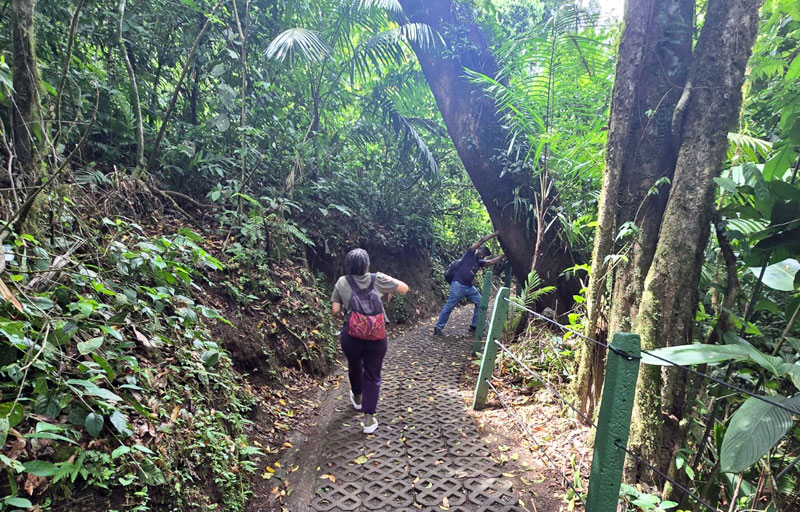 Costa Rica Hello Again: Mistico Hanging Bridges. Jacquie's Mindfulness Musings Blog