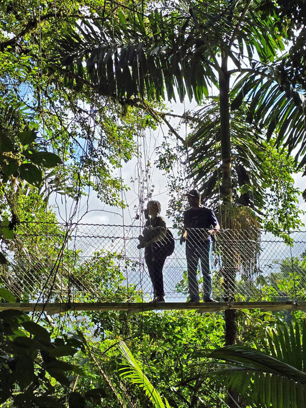 Costa Rica Hello Again: Mistico Hanging Bridges. Jacquie's Mindfulness Musings Blog