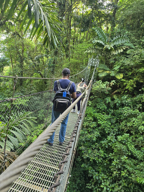 Costa Rica Hello Again: Mistico Hanging Bridges. Jacquie's Mindfulness Musings Blog