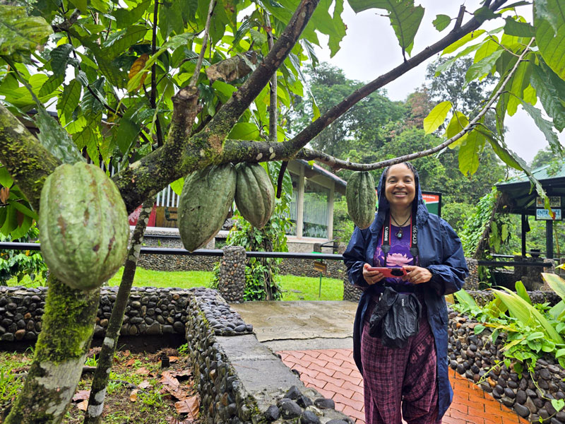 Me standing among the cacao. Costa Rica Hello Again: Braulio Carrillo National Park. Jacquie's Mindfulness Musings Blog