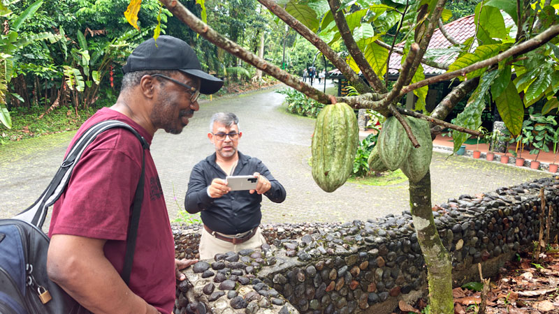 Frank and Sly among the cacao. Costa Rica Hello Again: Braulio Carrillo National Park. Jacquie's Mindfulness Musings Blog